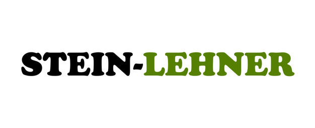 Stein-Lehner